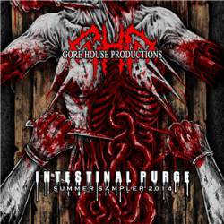 Compilations : Gore House Productions - Intestinal Purge (Summer Sampler 2014)